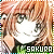  Card Captor Sakura: Kinomoto Sakura